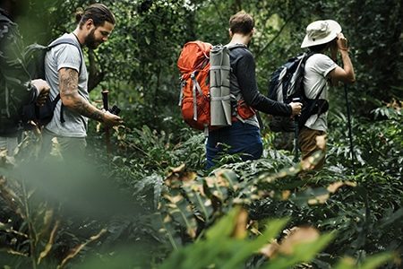 Randonnée. Nouvelle Normandie. Trekking in a forest. Nouvelle Normandie