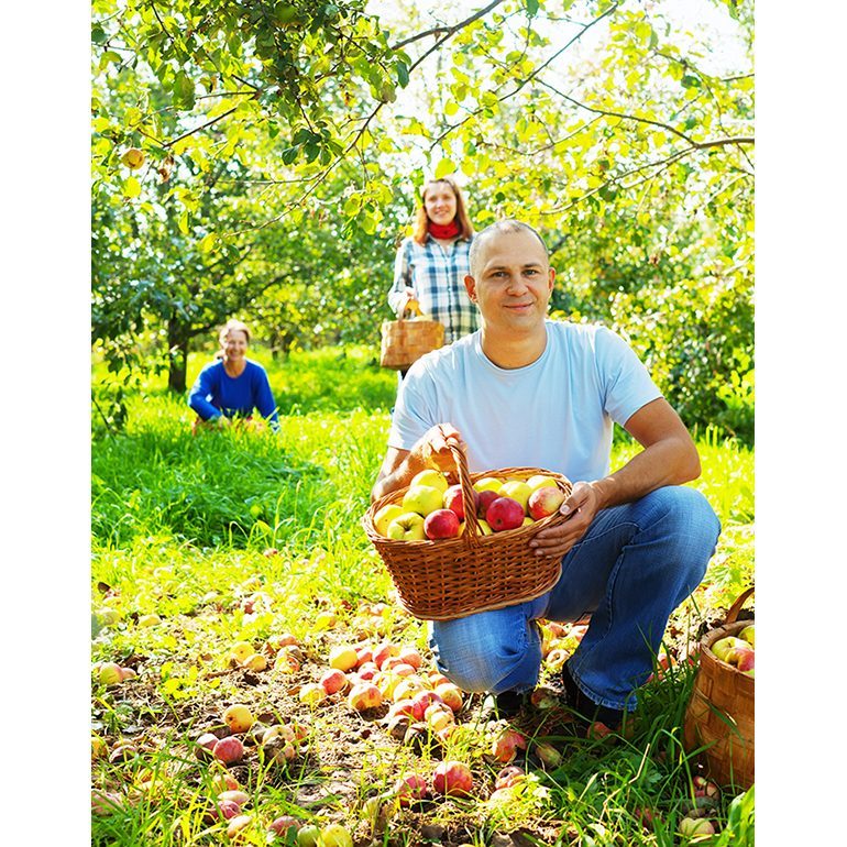Producteurs locaux