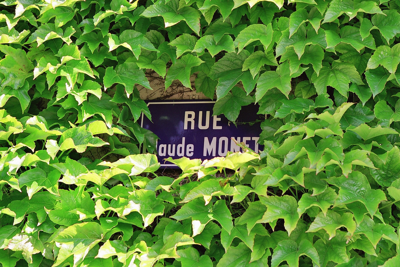 Rue Claude Monet. Giverny. Nouvelle Normandie © Office de Tourisme Nouvelle Normandie