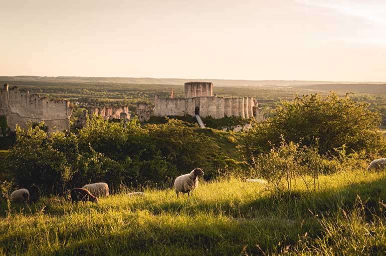 Château-Gaillard aux Andelys