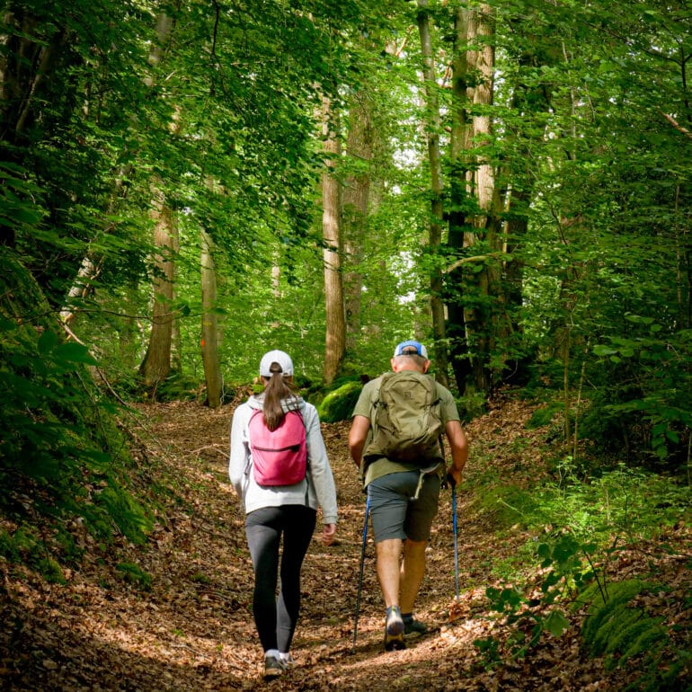 Long-distance hikes