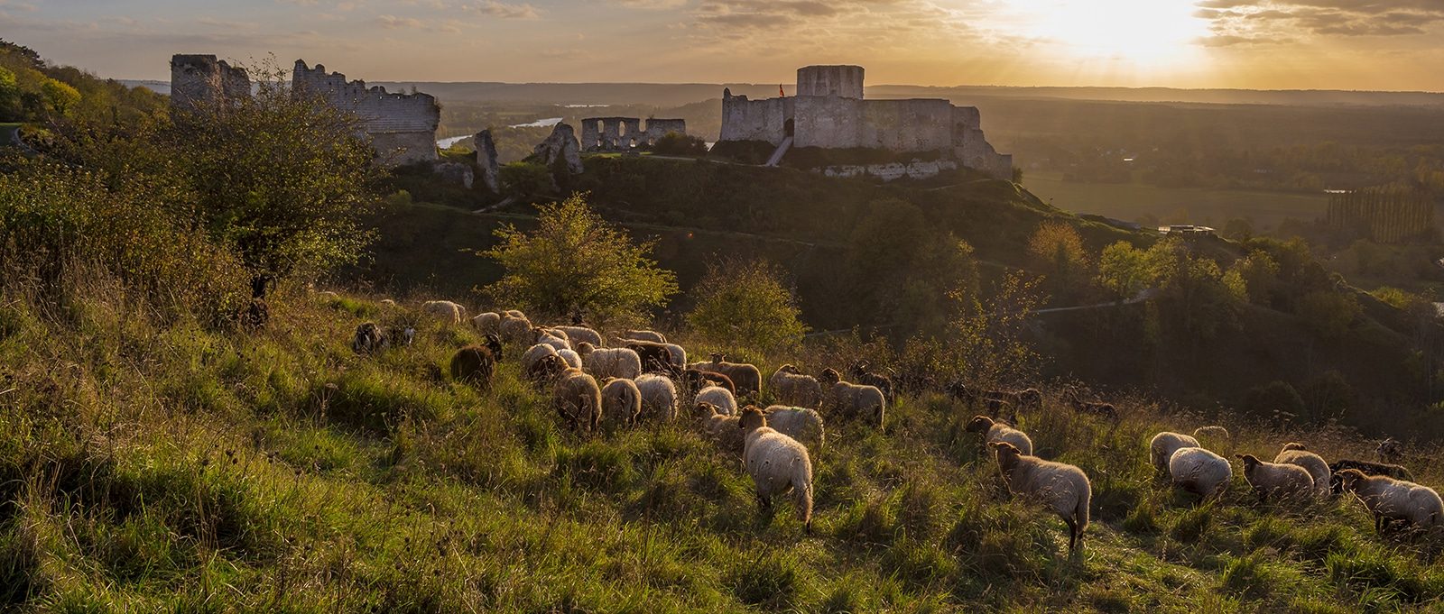 Les patûres de Chateau-Gaillard - Les Andelys-©AquaCalypso